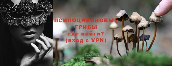 стафф Баксан