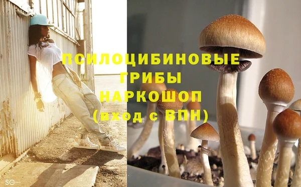 стафф Баксан
