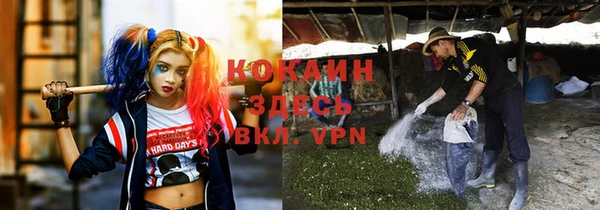 стафф Баксан