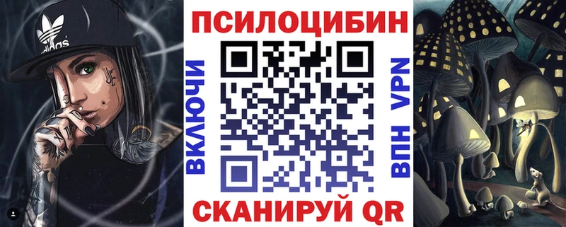 купить  сайты  Куса  Псилоцибиновые грибы GOLDEN TEACHER 